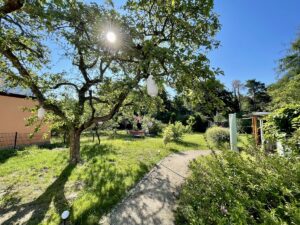 Blick in den Garten
