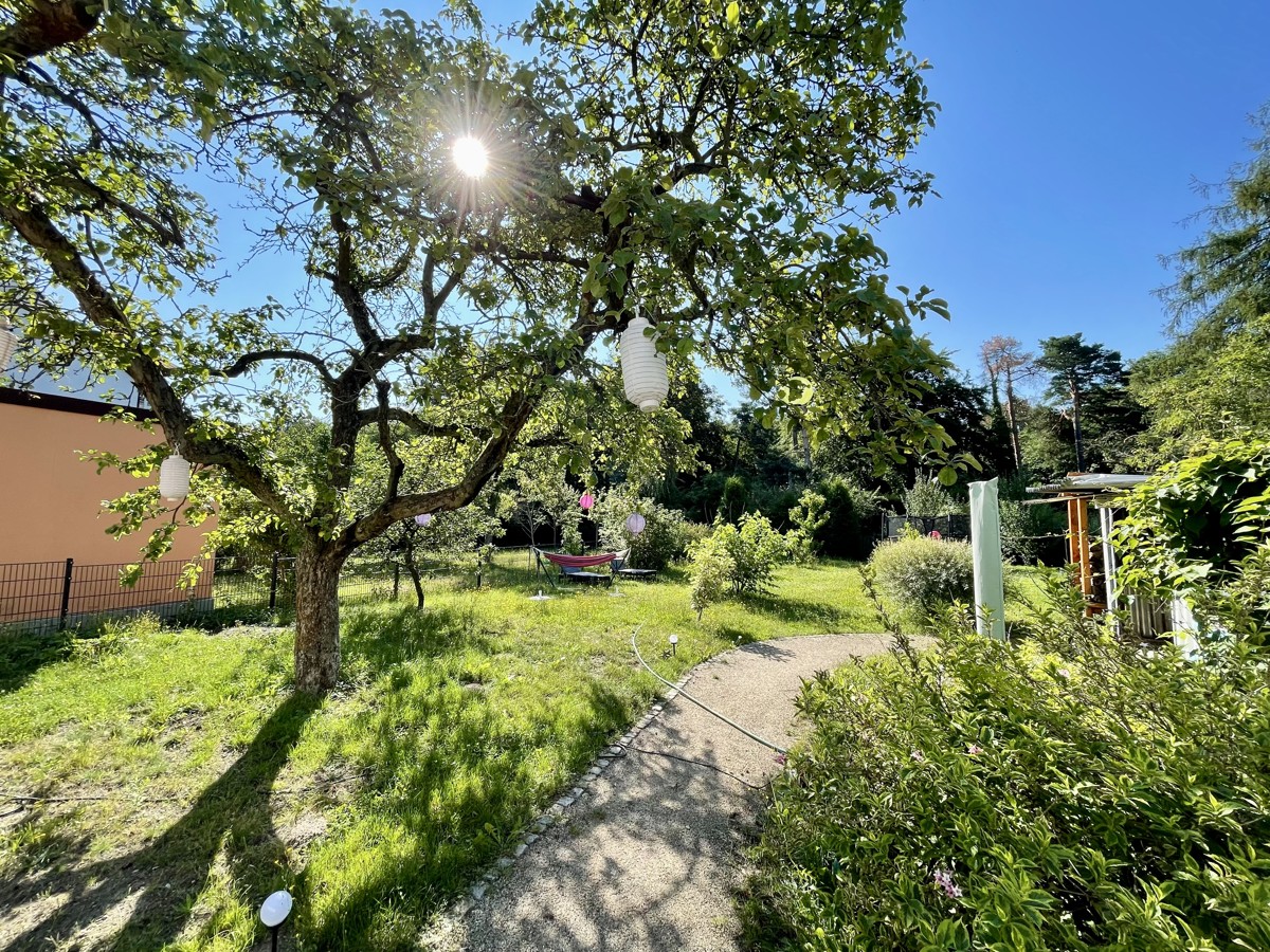 Blick in den Garten