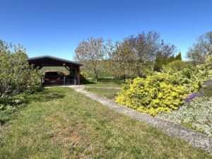 Blick in den Garten