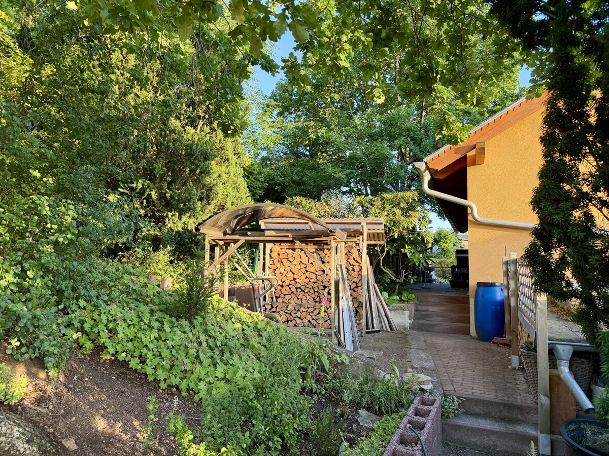 naturbelassener Garten